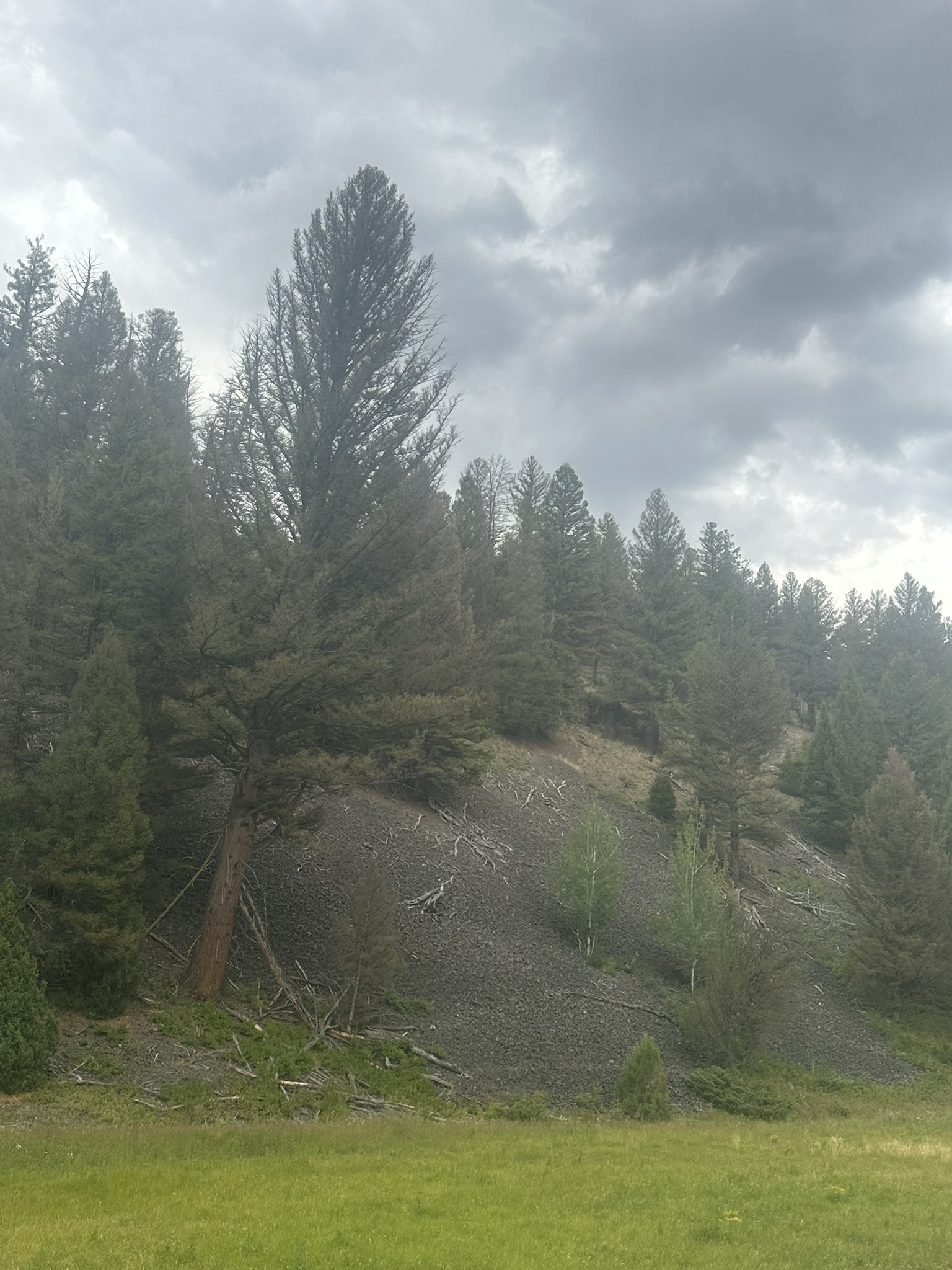 Yellowstone And Grand Teton National Parks - Image 977